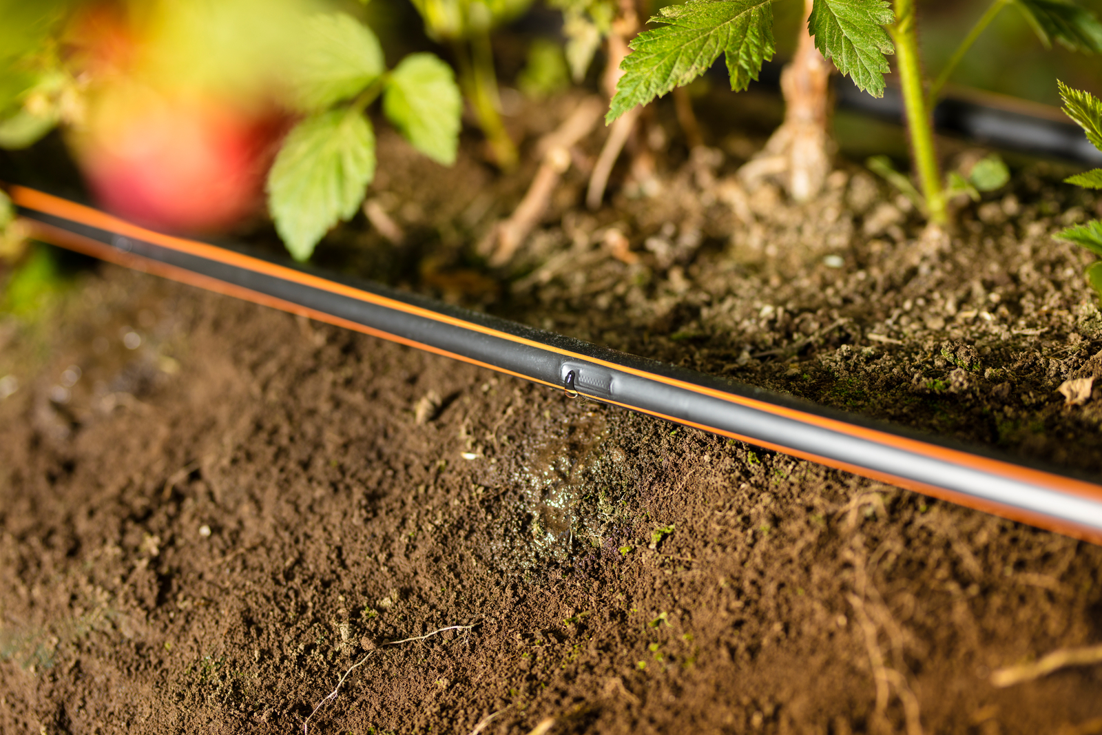 streamline drip irrigation