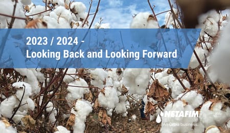 Cotton - Looking Back and Looking Forward