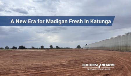 A New Era for Madigan Fresh in Katunga, Victoria