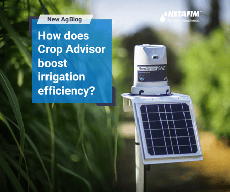 Crop Advisor: Your Solution to Irrigation Uncertainty