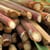 Sugarcane