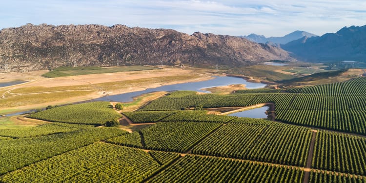 Netafim Irrigation Services