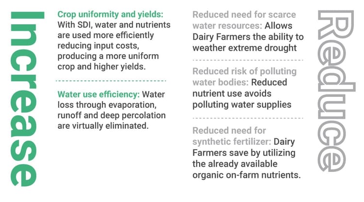generating carbon credits infographic