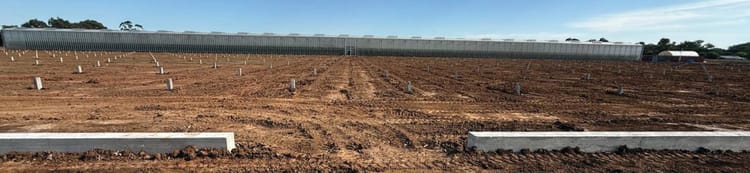 Banner A New Era for Madigan Fresh in Katunga, Victoria