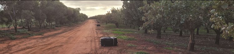 Banner Recycling program a ‘no-brainer’ for old orchard poly dripperline