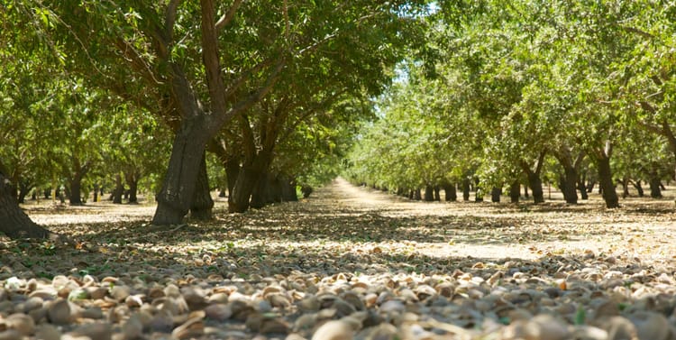 Engineering Services