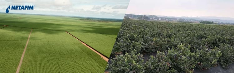 A worldwide track record from inception to completion