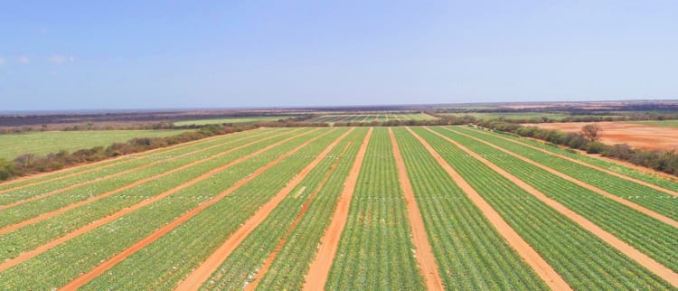 Precision Irrigation - Power a sustainable farming ecosystem to ensure a food secure future.