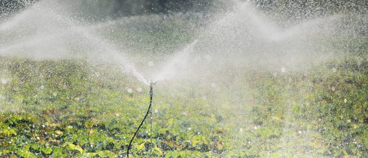 Sprinklers, micro-sprinklers and Special emitters