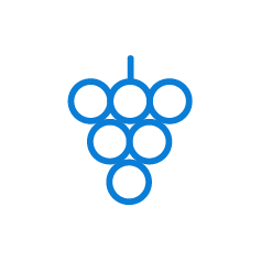Drip Irrigation and Fertigation Protocol for Table Grapes