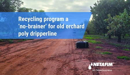 Recycling program a ‘no-brainer’ for old orchard poly dripperline