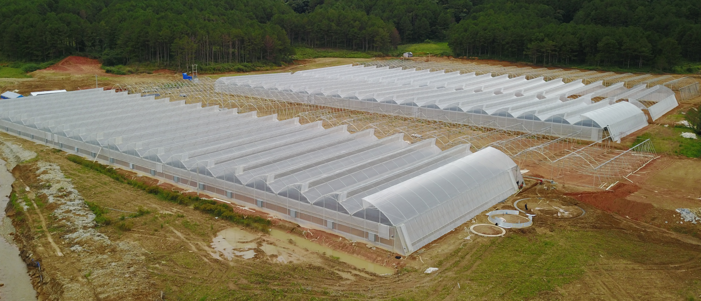 Greenhouse structures Netafim